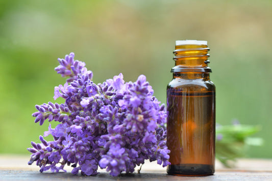 Lavender Oil