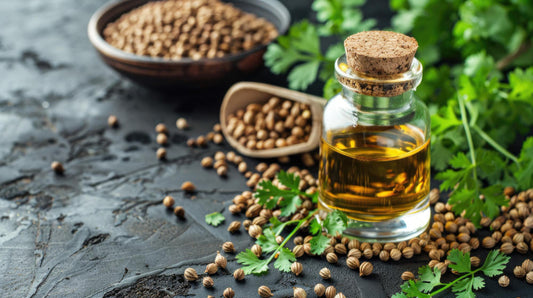 Coriander Oil