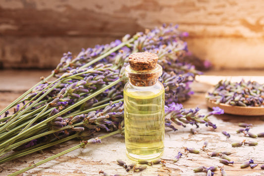 French Lavender Oil