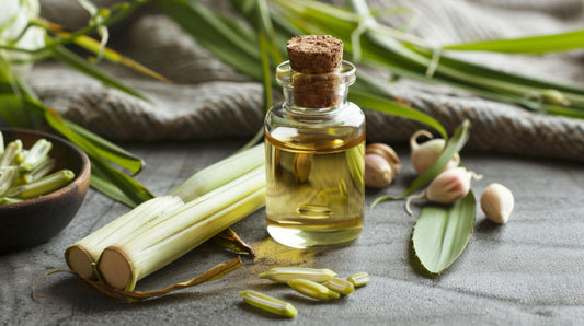 Citronella Oil