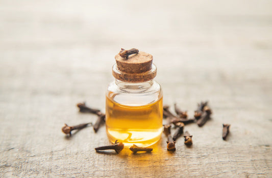 Clove Bud Oil