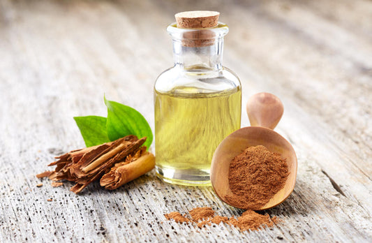 Cinnamon Bark Oil