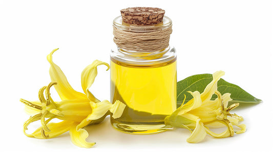 Ylang-Ylang Oil