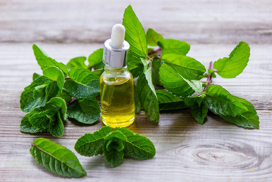 Spearmint Organic Oil