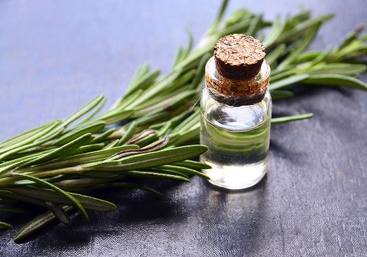 Rosemary Organic Oil