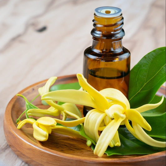 Ylang-Ylang Complete Oil